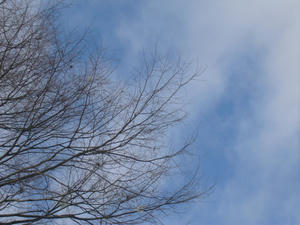 P1000731.JPG