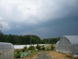 P1010089.JPG