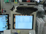 KC3T0009.jpg