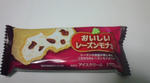 レーズンモナカ1