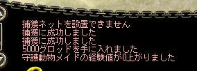 AS2008012222055001.JPG