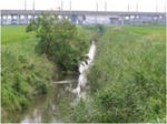 kamiyabasi2.JPG