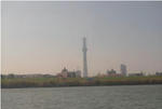 11-54.JPG