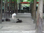 PICT0055.jpg