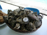 PICT0016.jpg