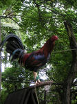 PICT0033.jpg