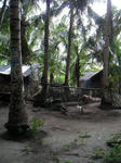 PICT0066.JPG