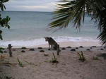PICT0067.JPG