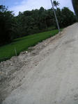 PICT0046.JPG