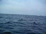 pict0004.jpg
