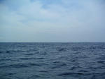 pict0005.jpg