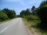 pict0008.jpg