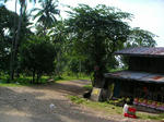 pict0009.jpg