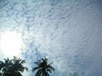pict0019.jpg