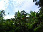 pict0048.jpg