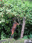 pict0027.jpg