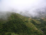 pict0044.jpg