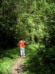pict0023.jpg