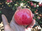 2008032715_PICT0021.jpg
