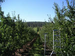 2008032716_PICT0023.jpg