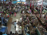 2008042506_PICT0005.jpg