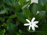 2008042610_PICT0008.jpg
