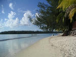 2008042610_PICT0012.jpg