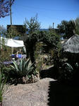 2008052001_PICT0015.jpg