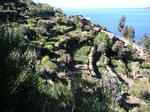 2008052004_PICT0042.jpg