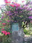 2008052322_PICT0058.jpg