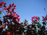 2008052323_PICT0063.jpg