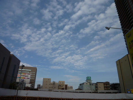 P1000564.JPG