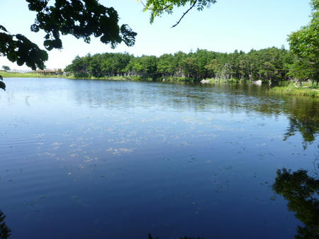 P1000891.JPG