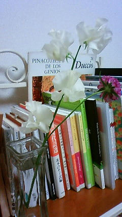 201203010426000.jpg