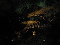 img_1634-s.jpg