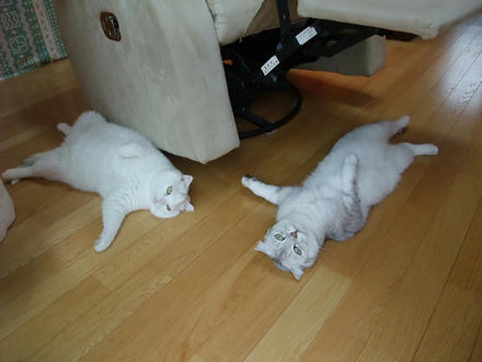 2008_06180014.JPG