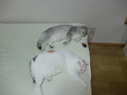 2008_06180021.JPG