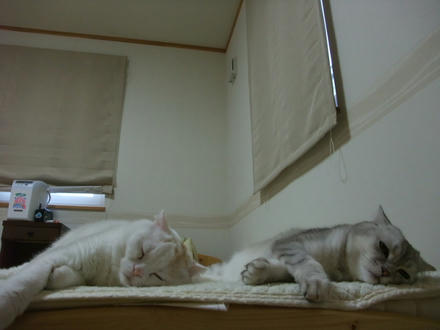 2008_06180029.JPG