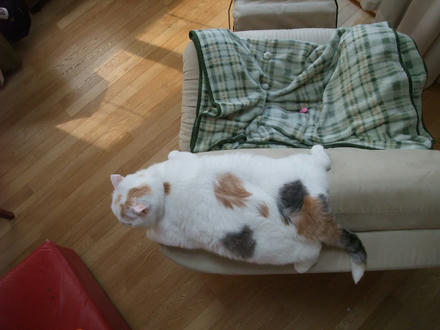 2008_06180008.JPG