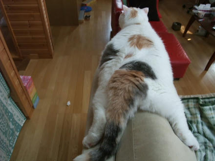 2008_06180009.JPG