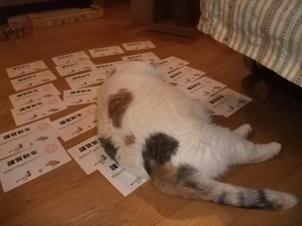2008_1231chokomomo0009.JPG