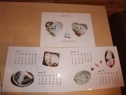 2009_0122chokomomo0001.JPG