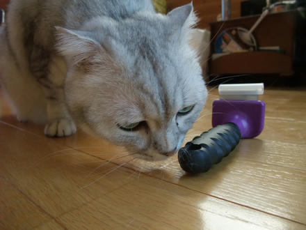 2009_0407chokomomo0007.JPG