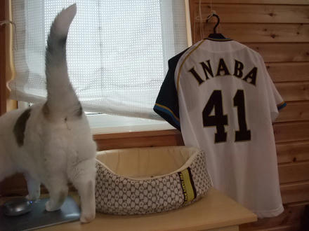 2009_0415chokomomo0003.JPG