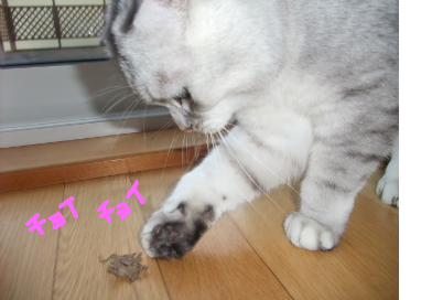 fimg_1240870302.png