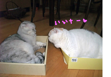 fimg_1240876051.png