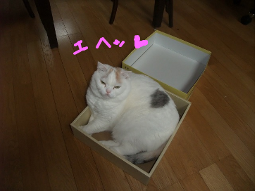 fimg_1240876844.png
