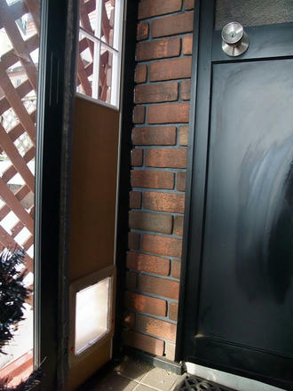 2010_0216chokomomo0008.jpg