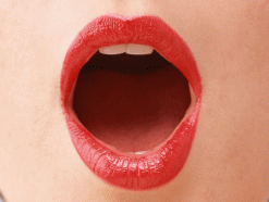 2010120401.gif