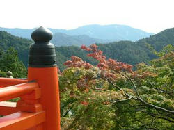 diary 2007.10.16 from kurama-dera